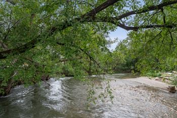 River flows through a green forest
